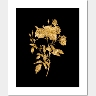 Vintage Gilded Ternaux Rose Bloom Botanical Gold Leaf Posters and Art